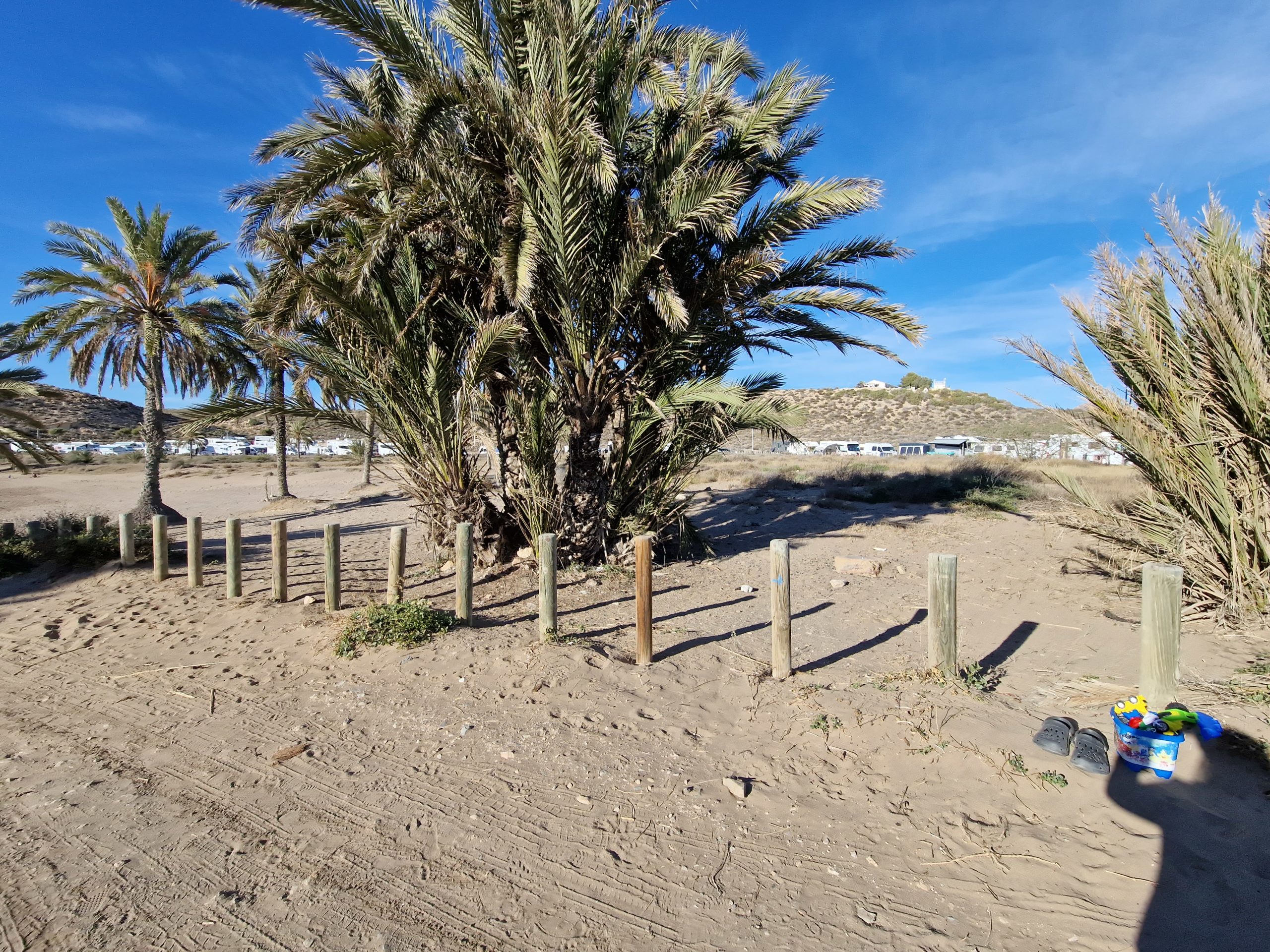 Read more about the article Darüber muss man reden … Obst und Gemüse aus Gewächshäusern in Spanien